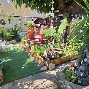 Site Paradis Rue Colibri Appartement